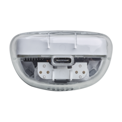 JBL Tune Flex Earbuds - Ghost