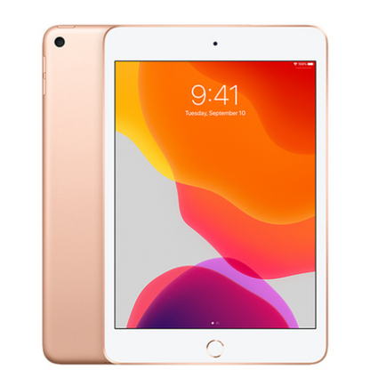 iPad Mini 5 256GB Gold (Wifi)